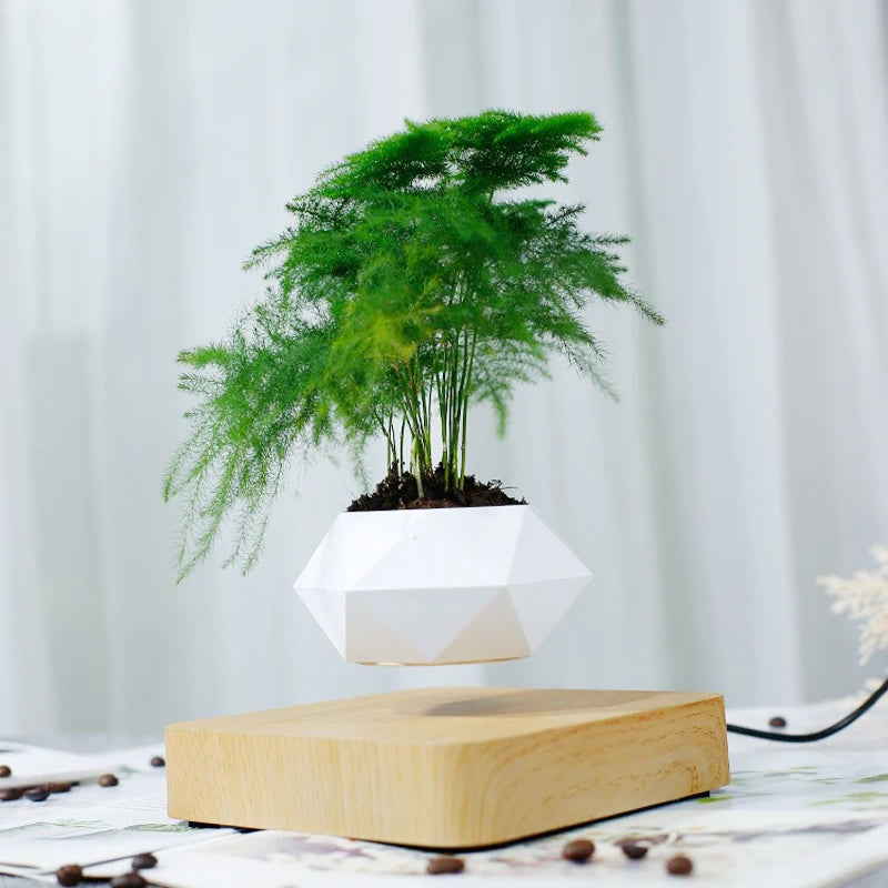 Découvrez notre pot flottant magnétique : une décoration moderne et élégante qui fait tourner vos plantes à 360°. Grâce à la lévitation magnétique, votre intérieur devient plus stylé, zen et unique. Idéal pour bureaux, salons et espaces design.