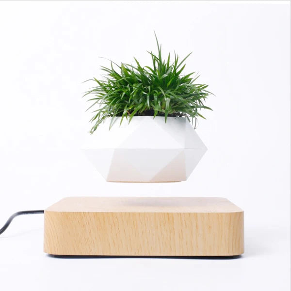 Découvrez notre pot flottant magnétique : une décoration moderne et élégante qui fait tourner vos plantes à 360°. Grâce à la lévitation magnétique, votre intérieur devient plus stylé, zen et unique. Idéal pour bureaux, salons et espaces design.